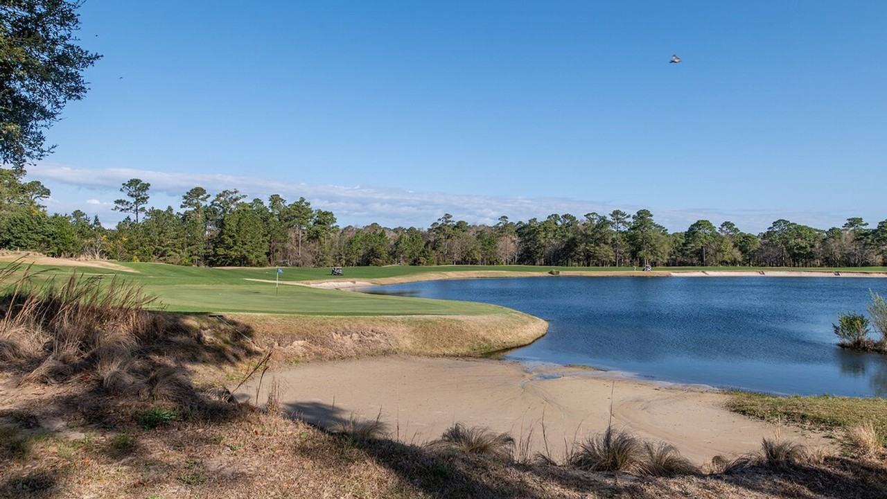 532 Blue Stem Dr #1253482P - Photo 3 of 21