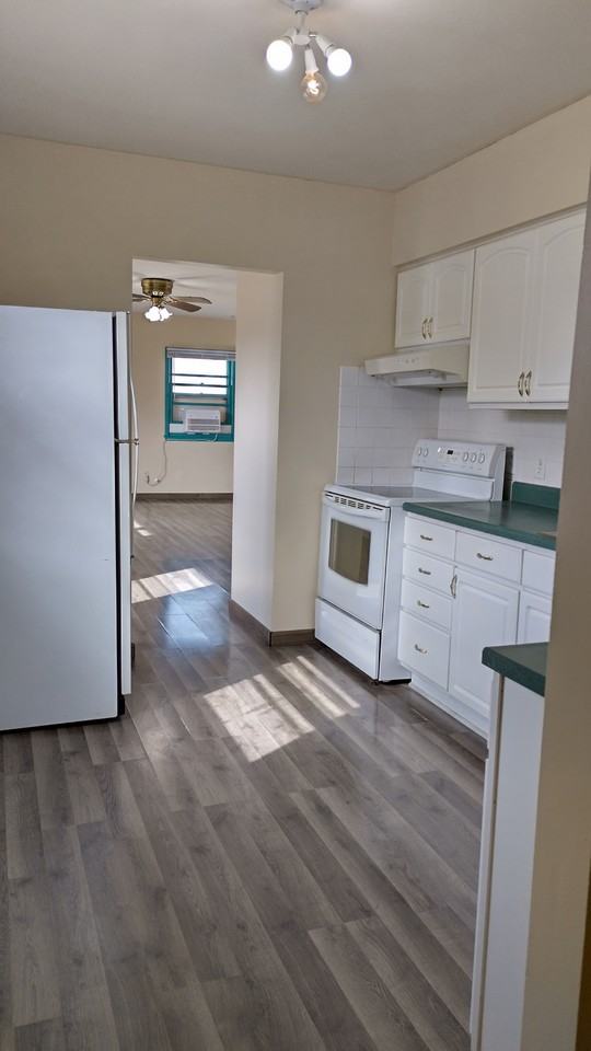 1429 Casa Blanca Ln - Photo 4 of 13