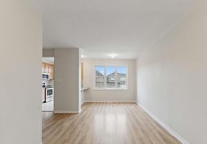 1036 Apolune Street - Photo 1 of 1