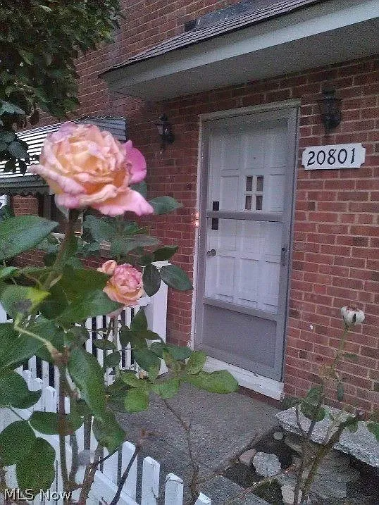 20801 Crystal Ave #1 - Photo 2 of 11