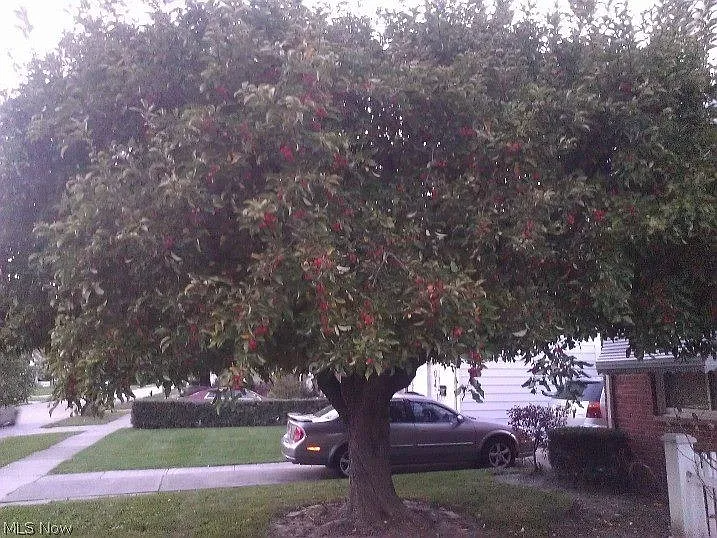 20801 Crystal Ave #1 - Photo 5 of 11