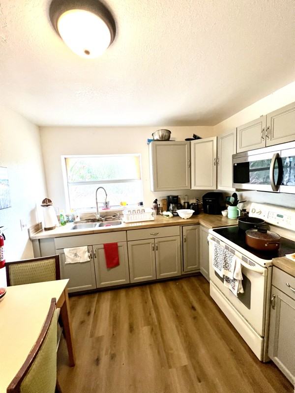 12116 Lamont Dr - Photo 7 of 10