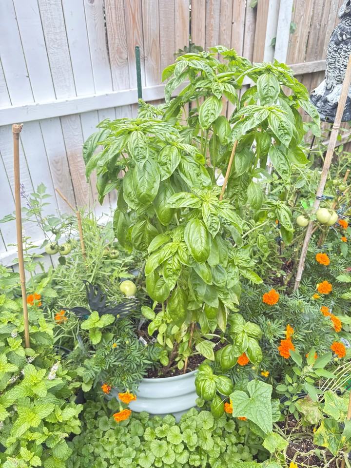 25953 Norfolk St - Photo 5 of 5