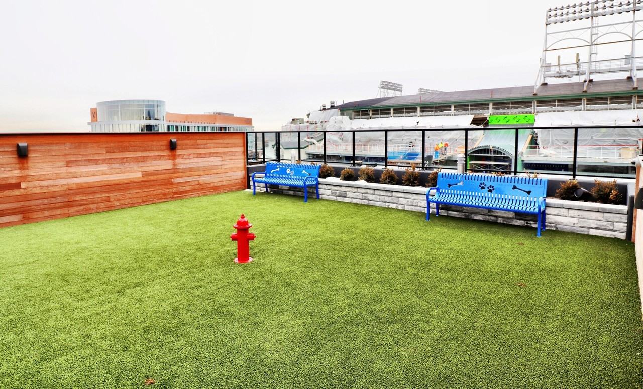 1031 W Addison St - Photo 3 of 6