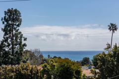 28320 Rey De Copas Ln - Photo 1 of 1
