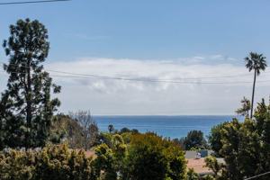 featured image of 28320 Rey De Copas Ln