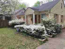 541 S Reese St #NA - Photo 1 of 1