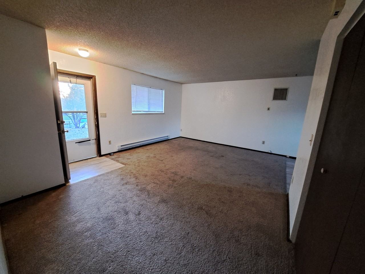 1203 Centennial Dr - Photo 3 of 13