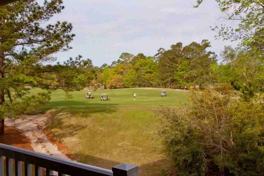 1123 Blue Stem Dr - Photo 5 of 23