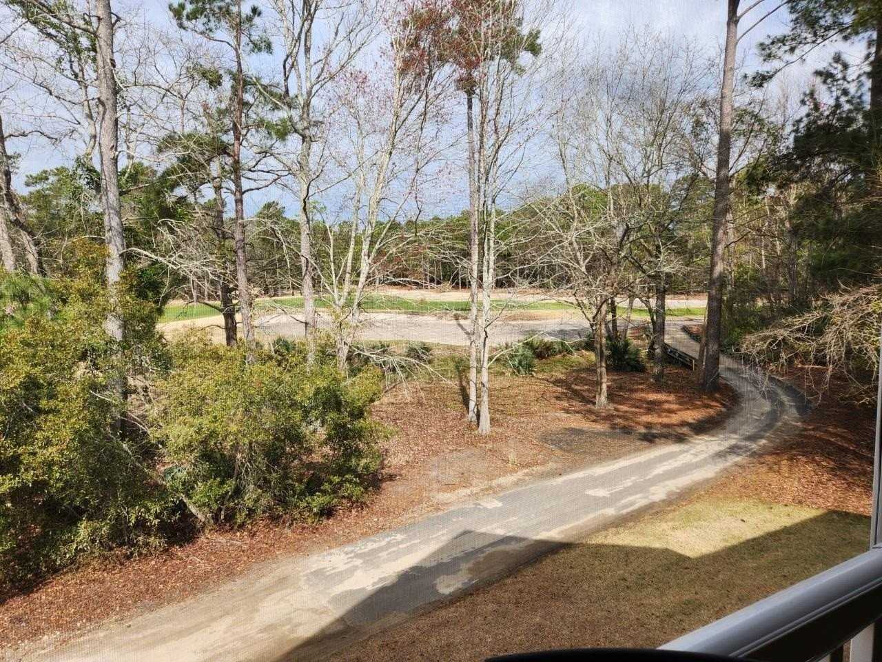 1123 Blue Stem Dr - Photo 6 of 23