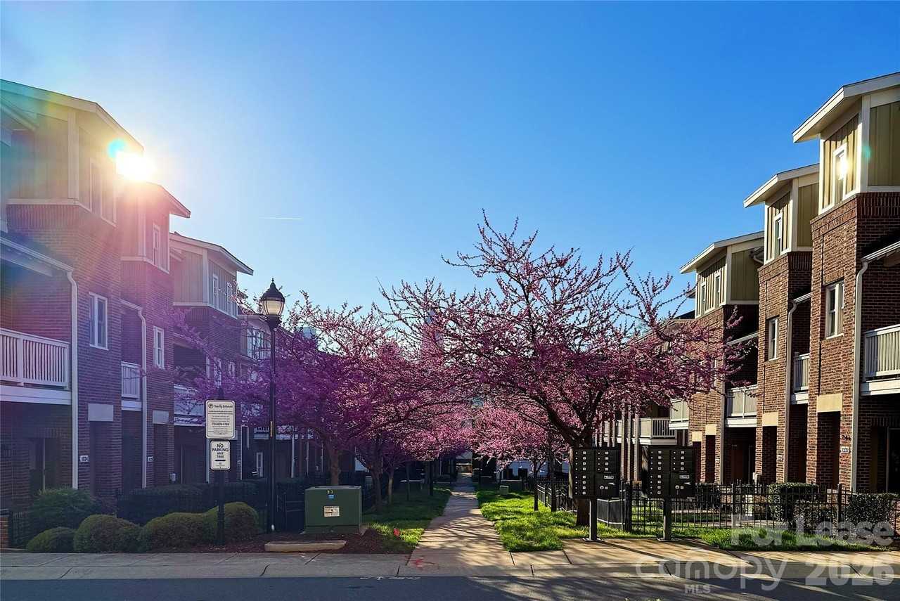 1424 W 4th St - Photo 3 of 23