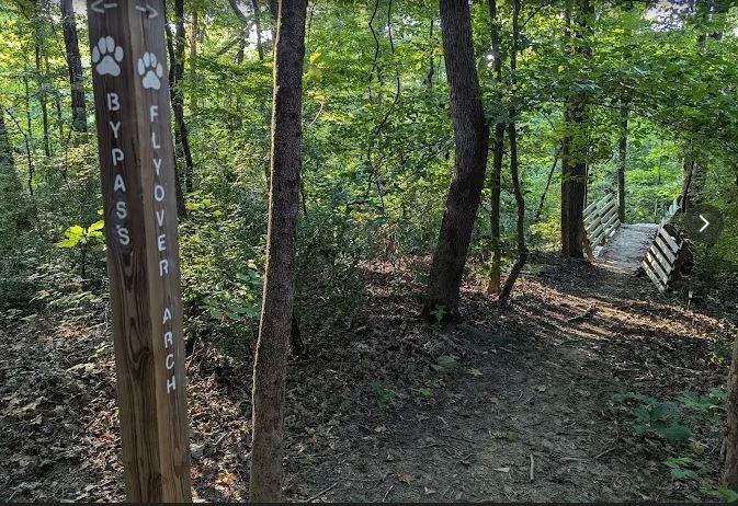 Mayfair Ave - Photo 5 of 18