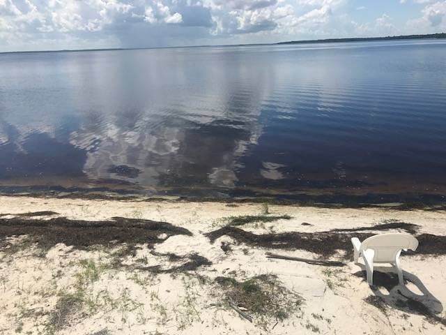 6077 E Highway 98 - Photo 2 of 23