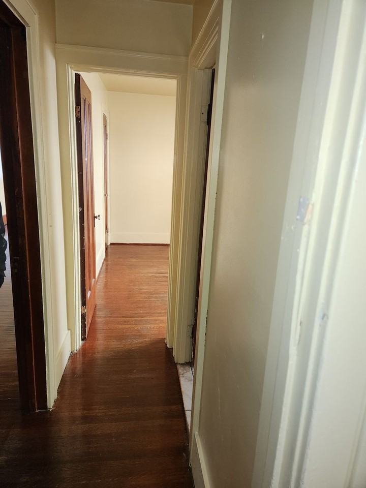 108/110 Shelter Street - Photo 4 of 19