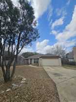 14915 Tropical Wind - Photo 1 of 1