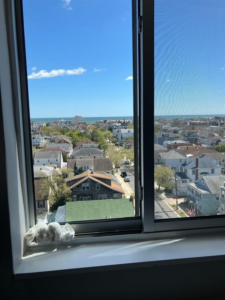 6101 Monmouth Ave - Photo 3 of 27