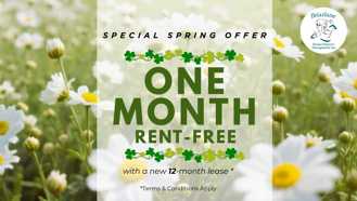 48 Weber Street West - Photo 1 of 1