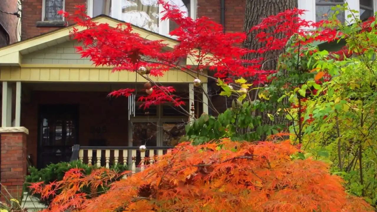 Parkside Dr & Bloor St W - Photo 2 of 2