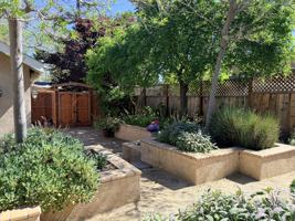 featured image of 55 Norton Avenue #2