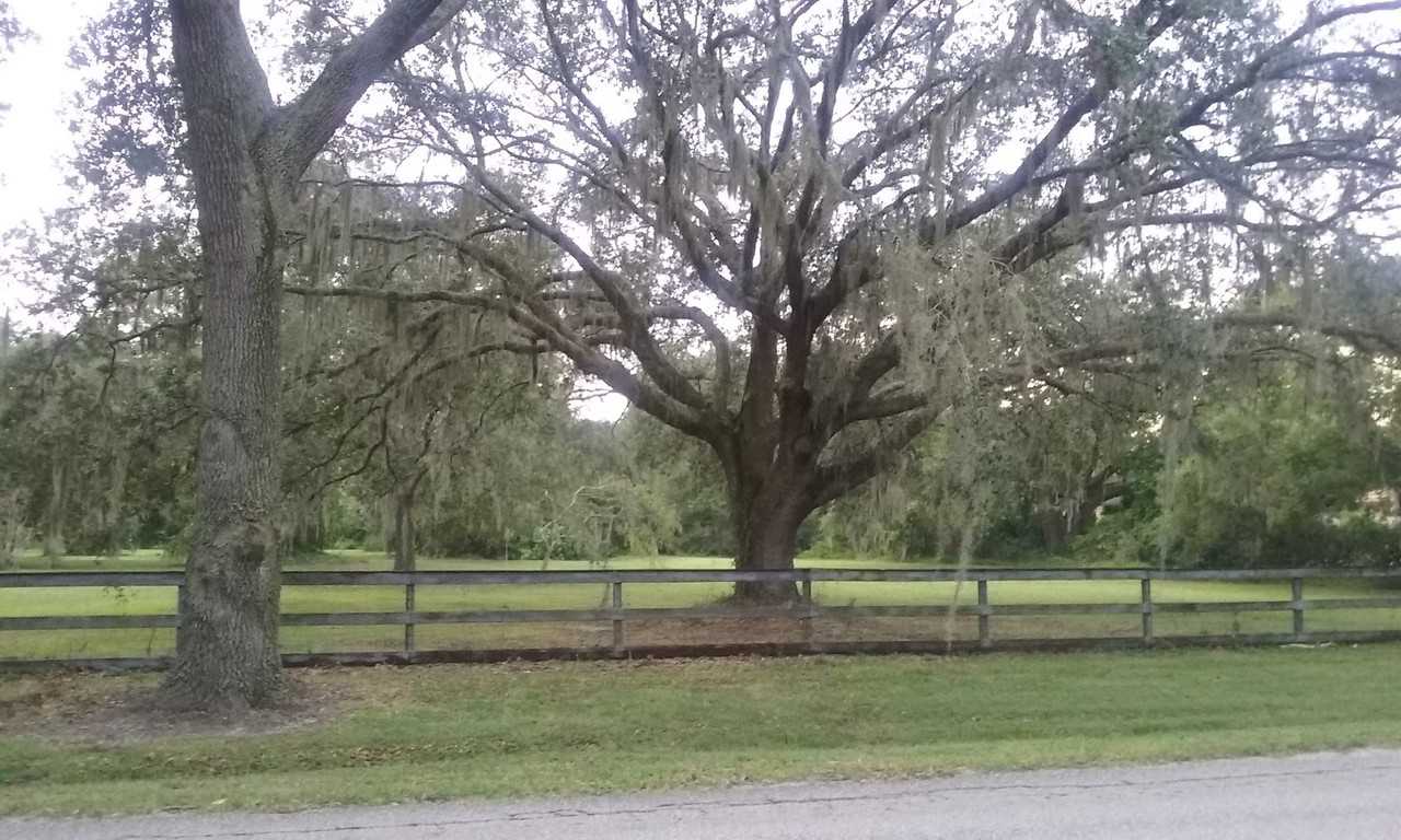 13319 Cain Rd #NA - Photo 3 of 14