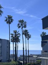 620 The Vlg #301 - Photo 1 of 1