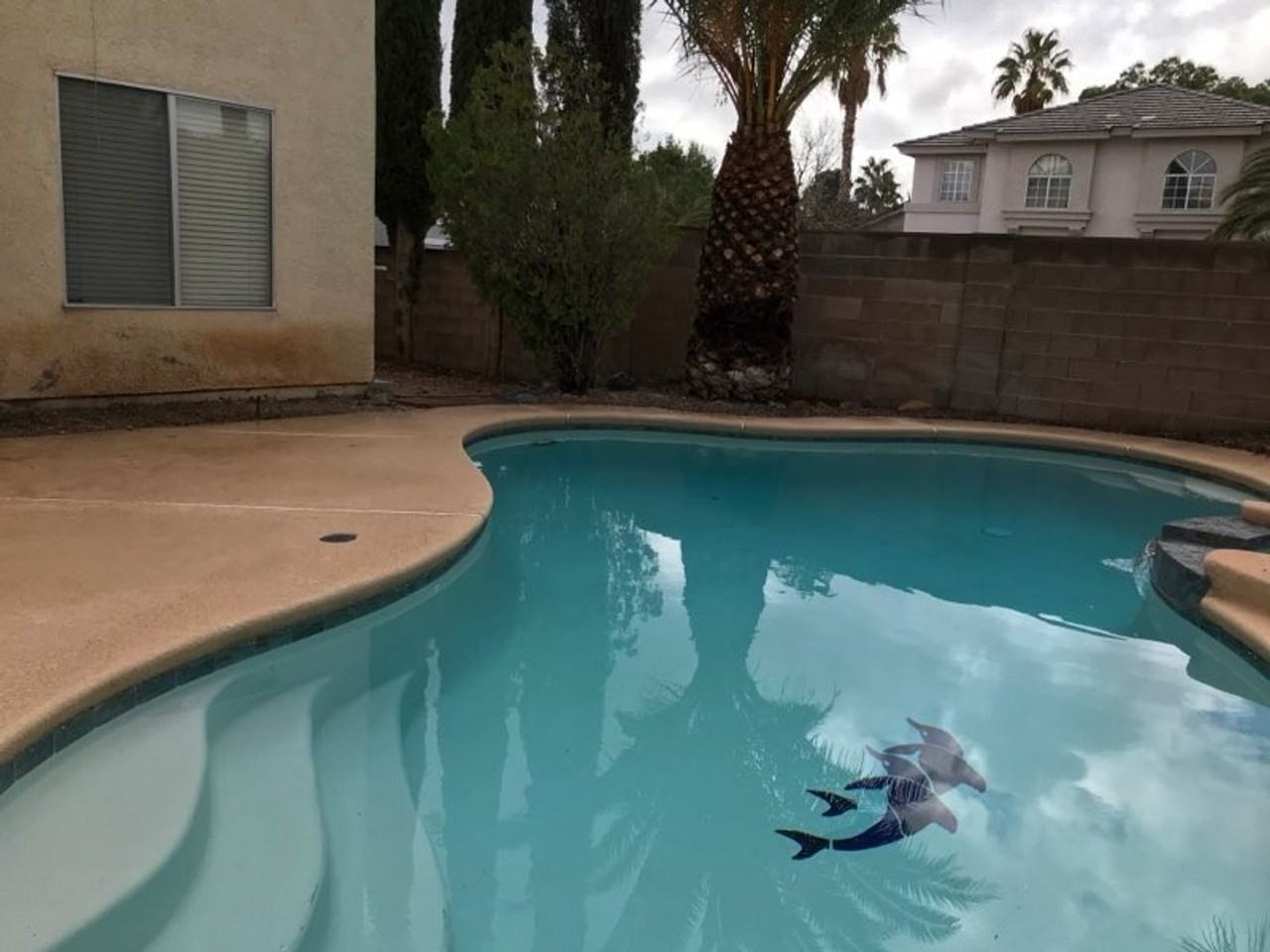 2929 Domino Way - Photo 2 of 2