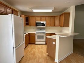 903 Norman Dr - Photo 1 of 1