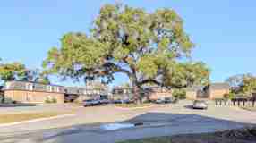 Grand Oaks Apartment - Photo 1 of 1