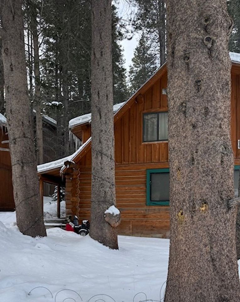 674 Minaret Rd - Photo 2 of 19