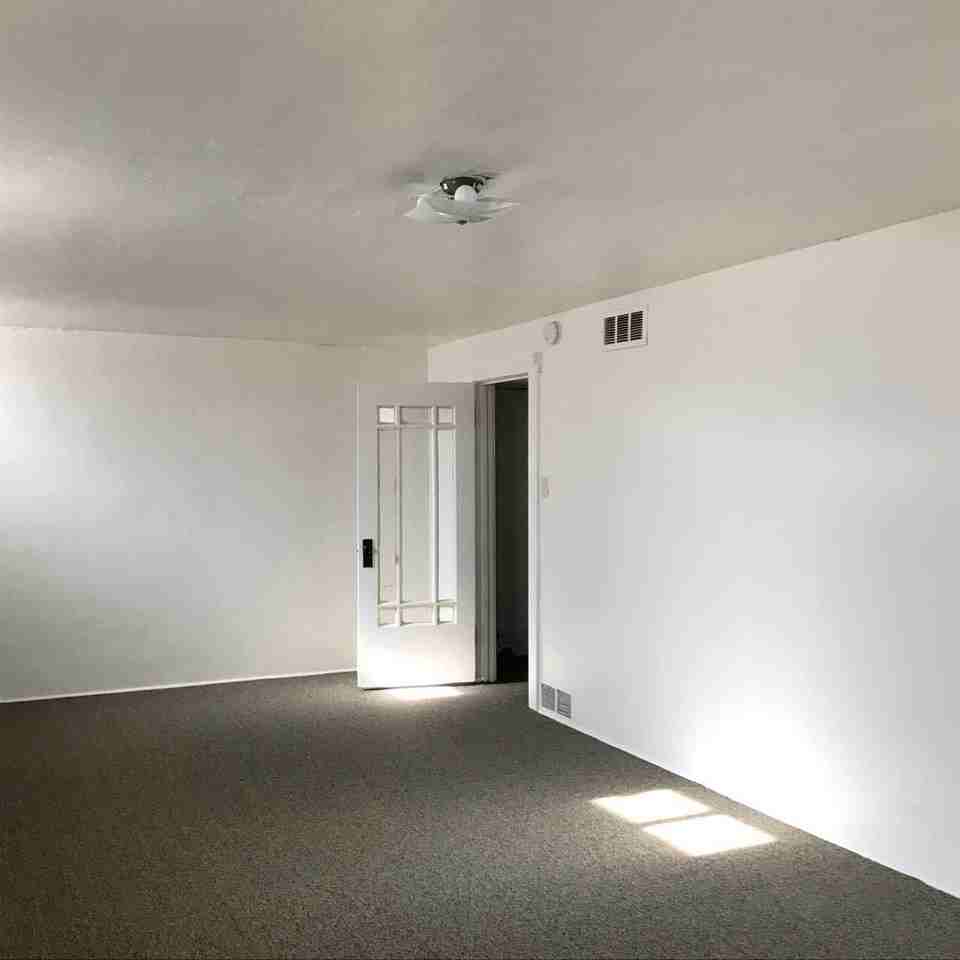 1536 Peterson St - Photo 5 of 20