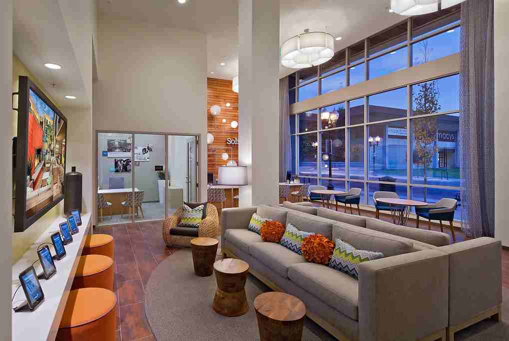 Solstice - Photo 2 of 51