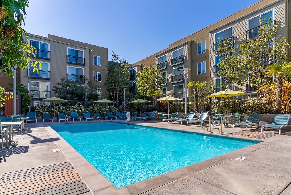 Solstice - Photo 6 of 51