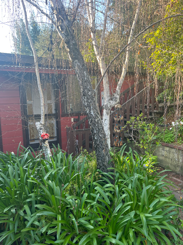 2091 Sierra Way - Photo 5 of 8