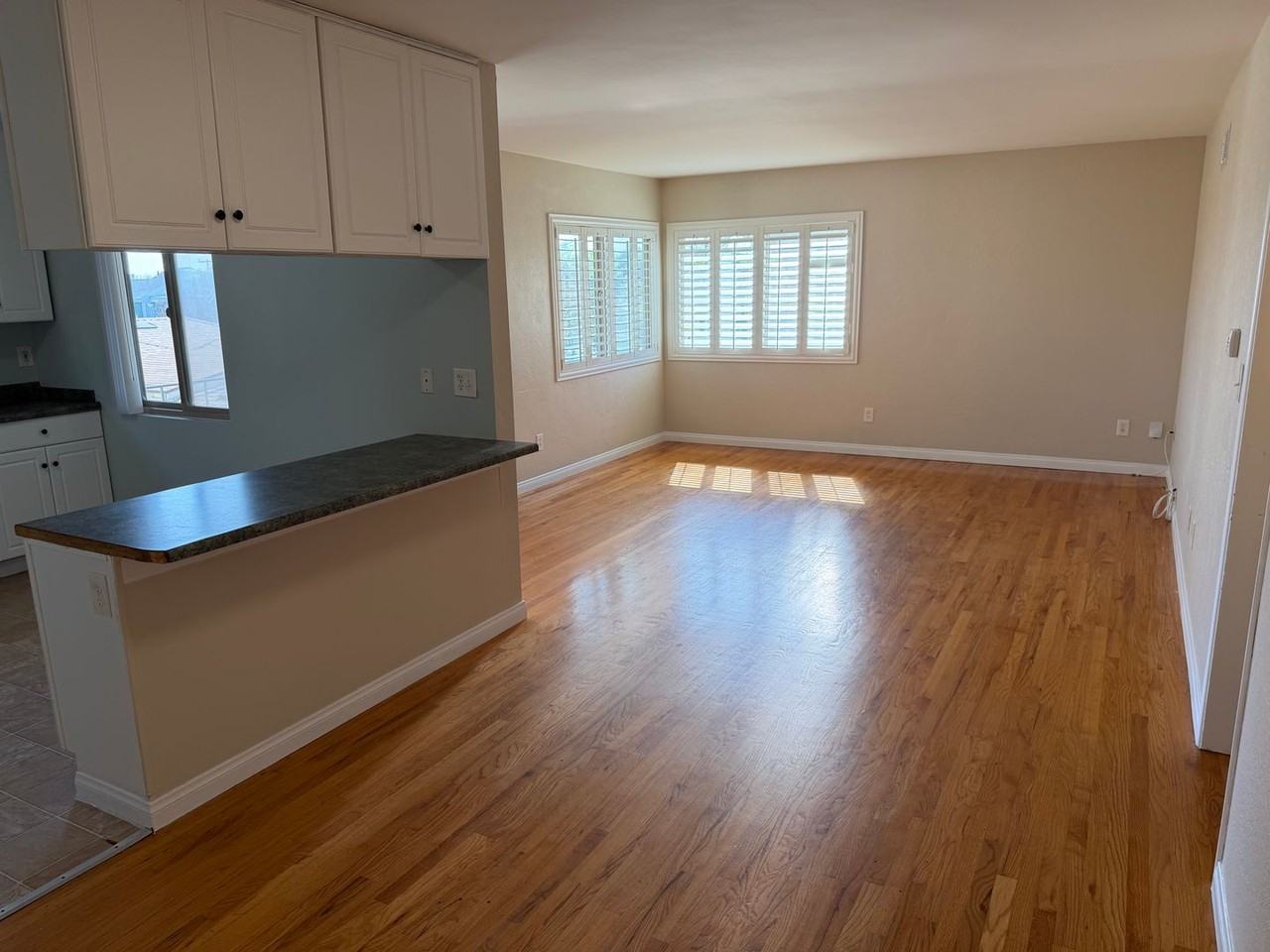 1514 Chalcedony St - Photo 7 of 30