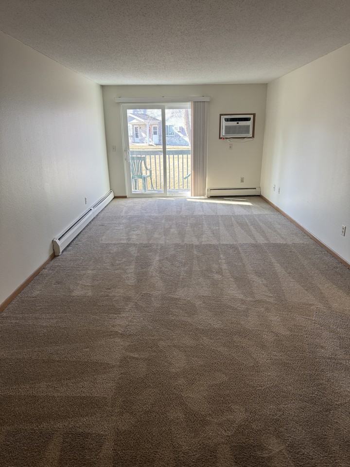 Kestrel - Photo 2 of 50