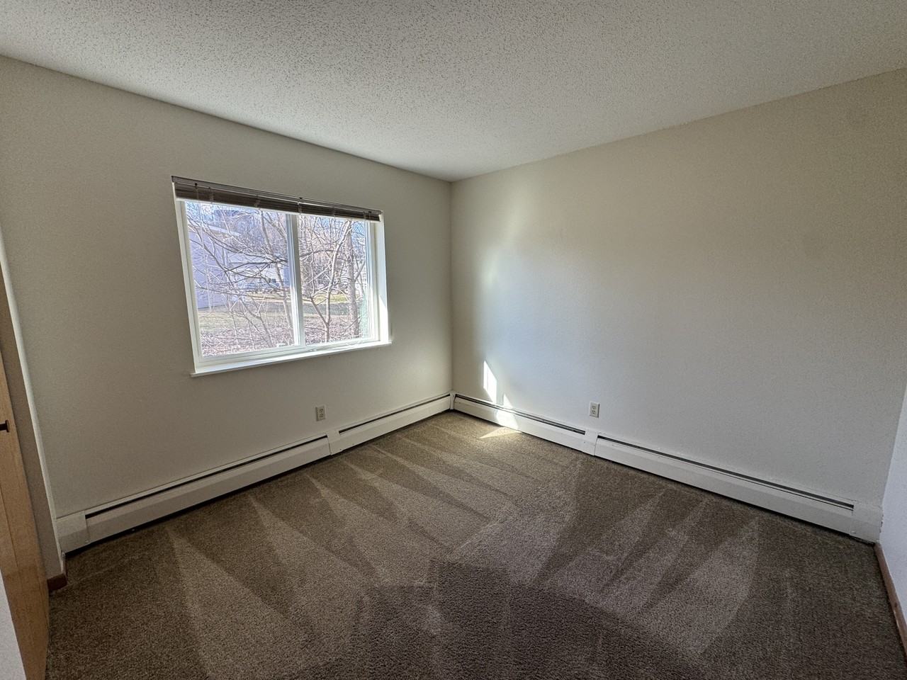 Kestrel - Photo 5 of 50