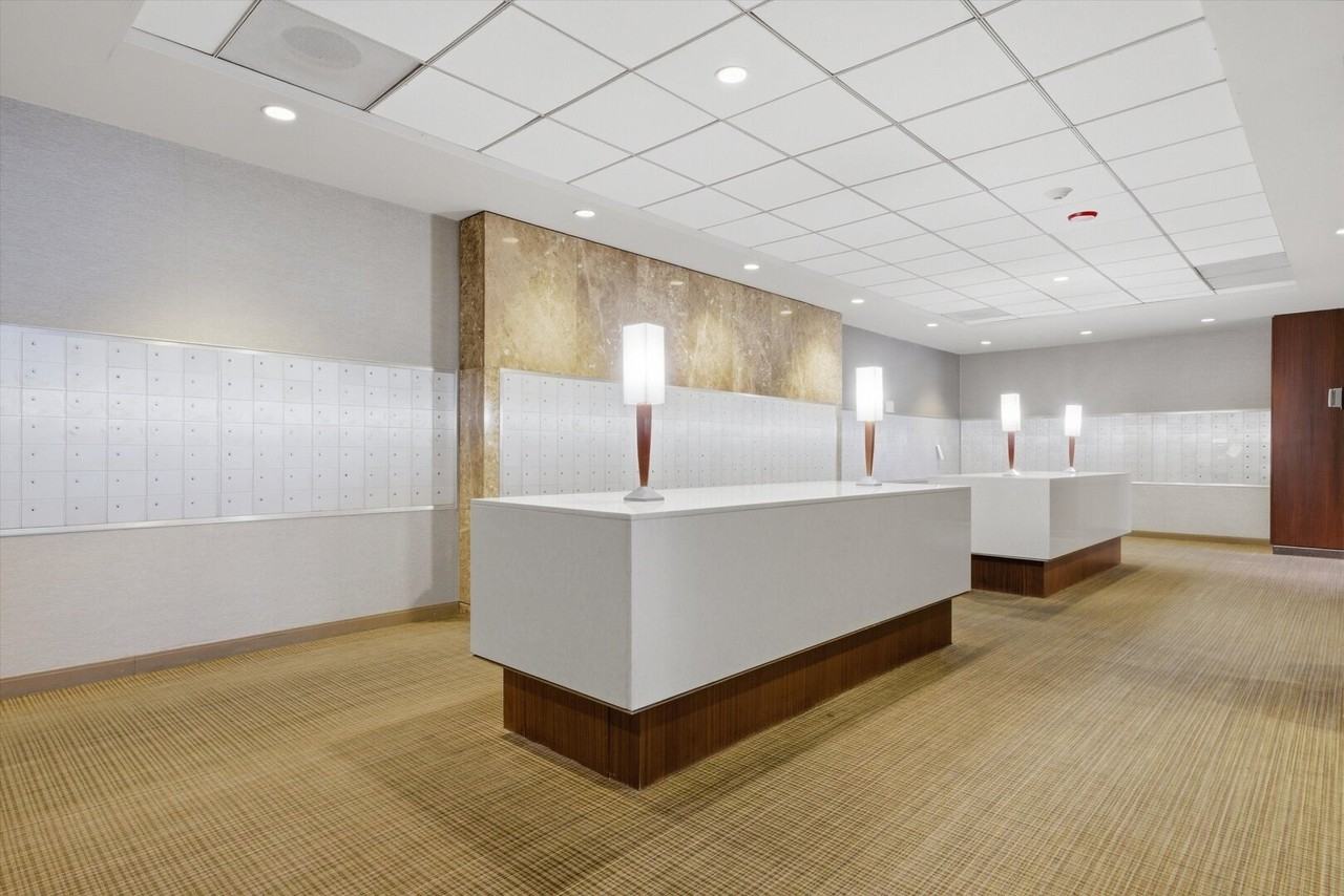 655 W Irving Park Rd Apt 5502 - Photo 6 of 49