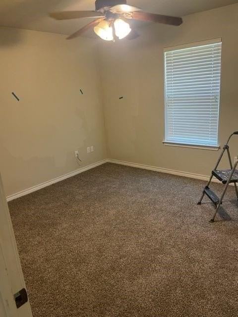 4034 Cougar Way - Photo 5 of 9