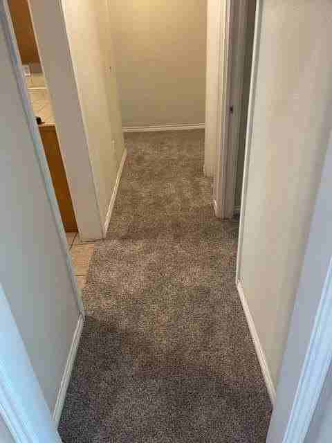 4034 Cougar Way - Photo 6 of 9