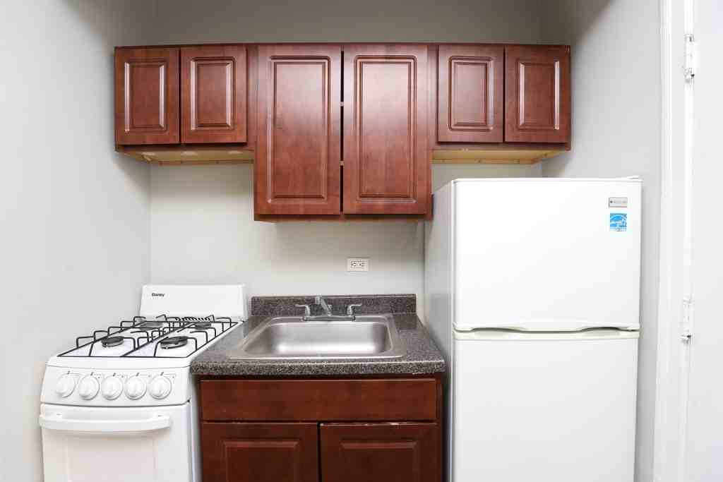 4546 N Damen Ave #215 - Photo 3 of 17