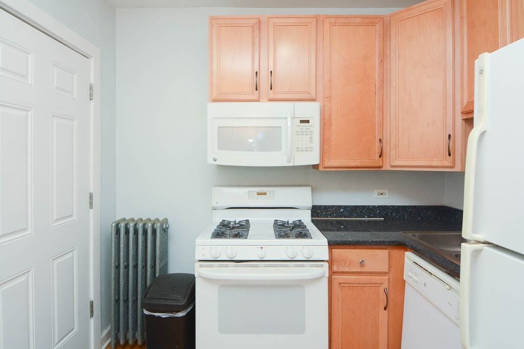 2922 N Sacramento Ave #1 - Photo 2 of 21