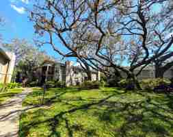 featured image of 14211 Shadow Moss Ln #202
