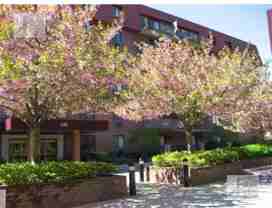 125 Pleasant St #308 - Photo 1 of 1