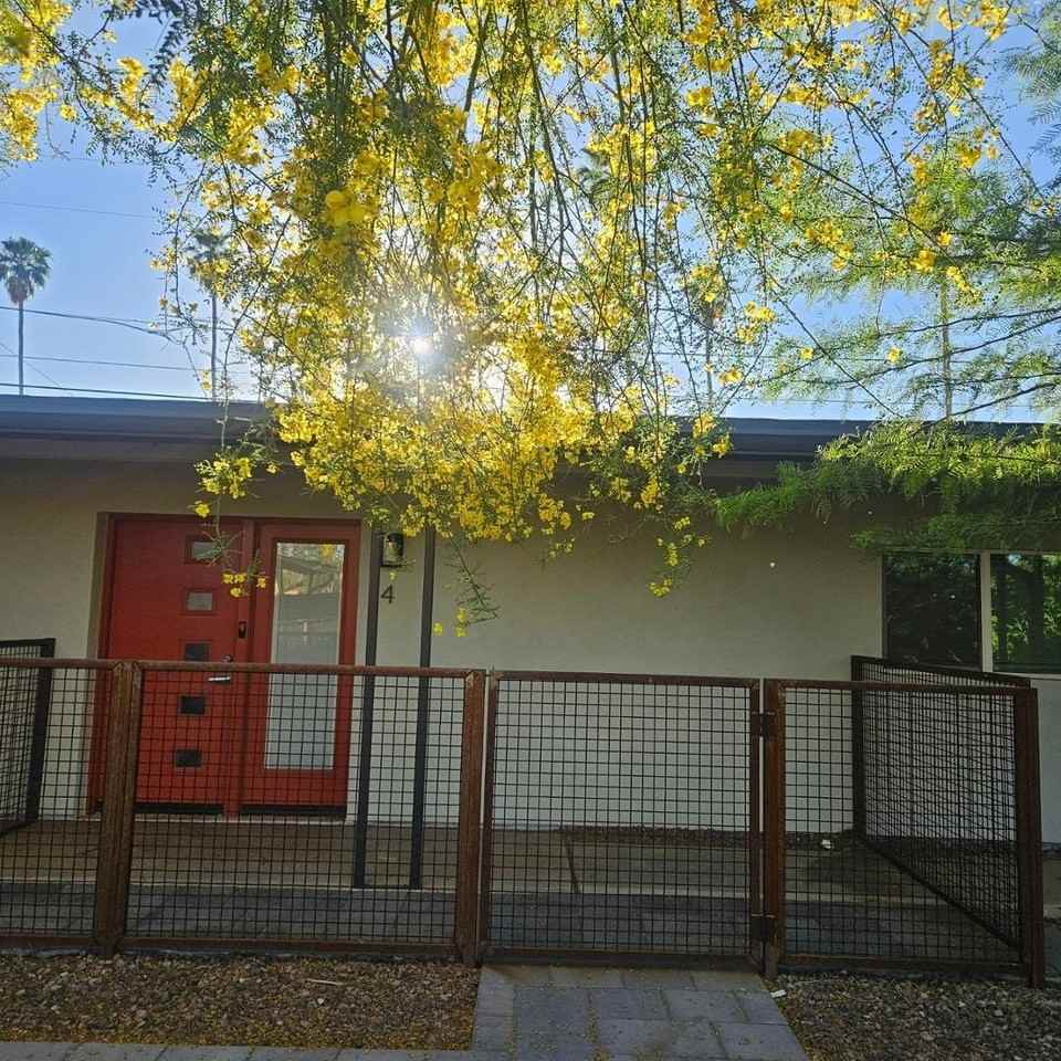 3326 N 66th Pl Apt 4 - Photo 3 of 10