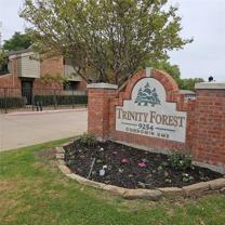 9254 Forest Ln #407 - Photo 1 of 1