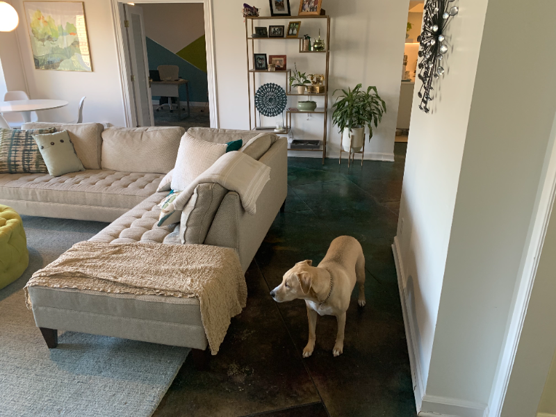 3314 W End Ave #202 - Photo 6 of 20