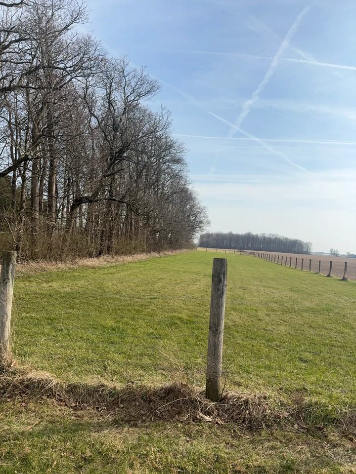 21250 Suber Rd - Photo 4 of 14