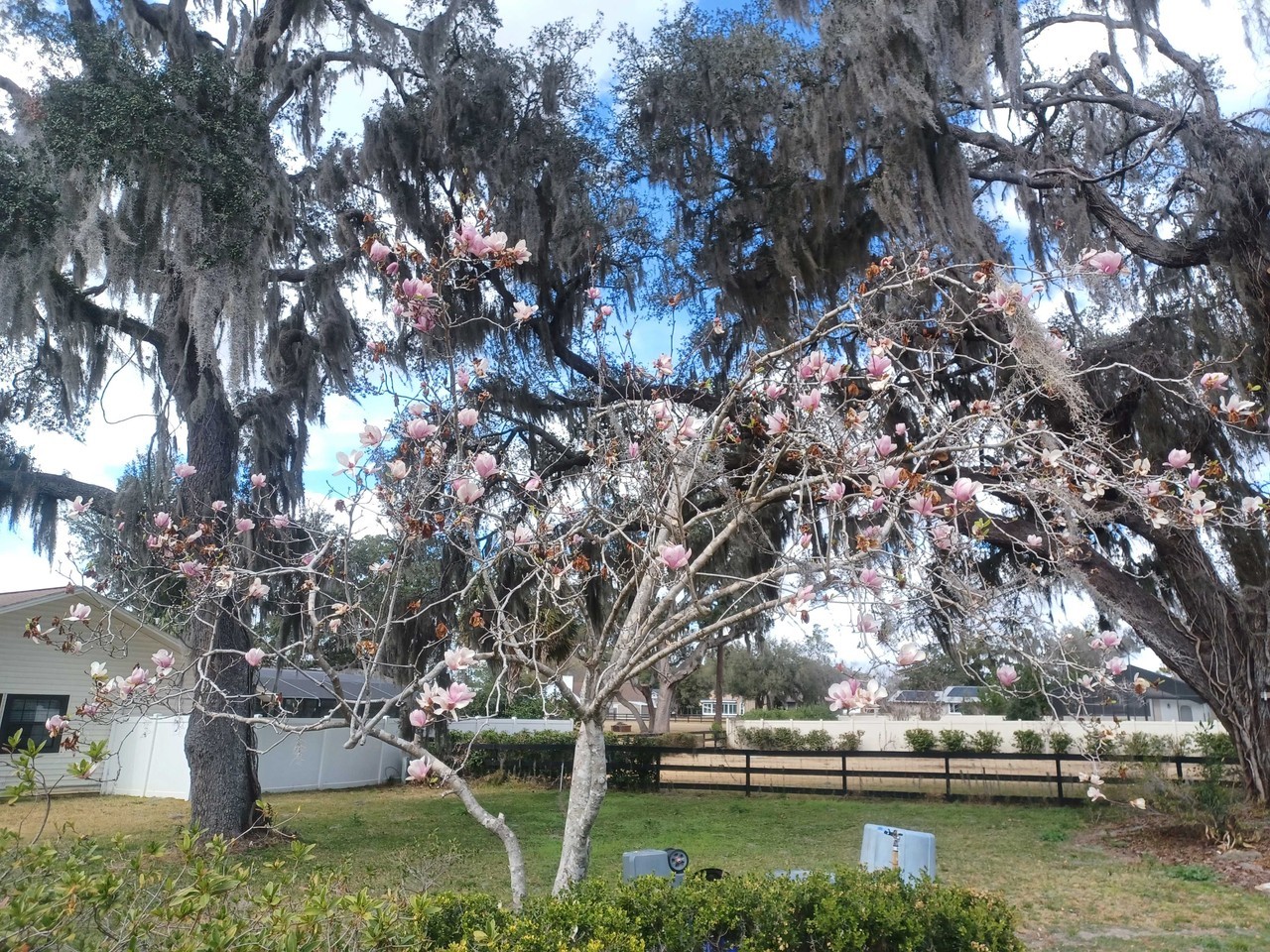 4481 Sw 46th St #NA - Photo 7 of 37