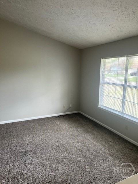 930 Piercefield Dr - Photo 5 of 15