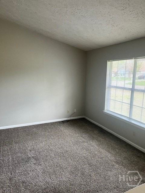 930 Piercefield Dr - Photo 6 of 15